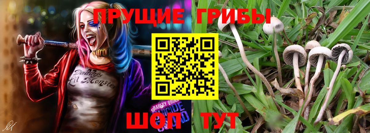 Галлюциногенные грибы MAGIC MUSHROOMS  Галлюциногенные грибы Psilocybine cubensis  Норильск  Вход с VPN 